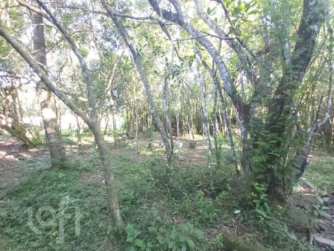 Image 35 - 239663